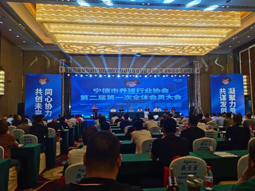 凯时尊龙人生就是博参加宁德市养猪行业协会第二届第一次会员大会